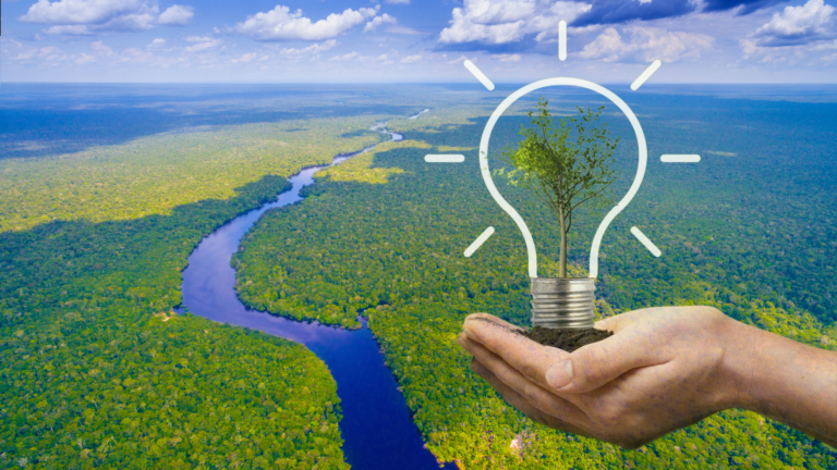 MCTI investirá R$ 380 mi em ciência e inovação na Amazônia