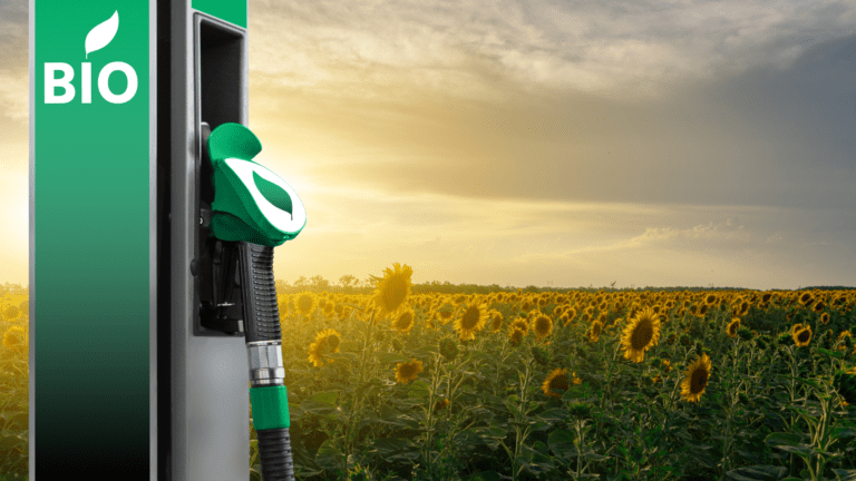 EMBRAPII e BNDES vão investir R$ 25 milhões em novos biocombustíveis